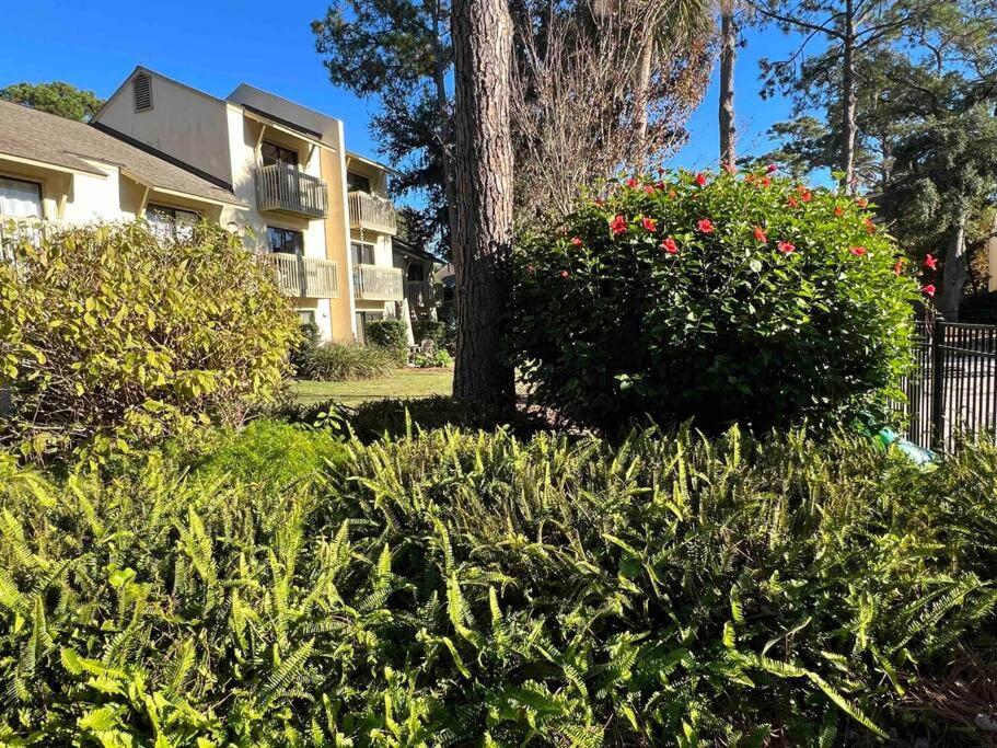 Spacious, Cozy Villa W/Parking In Coligny Villas Hilton Head Island Eksteriør billede