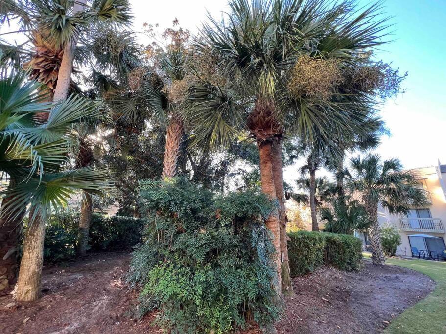 Spacious, Cozy Villa W/Parking In Coligny Villas Hilton Head Island Eksteriør billede
